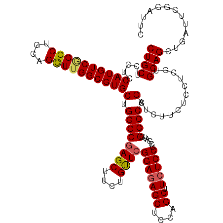 secondary structure