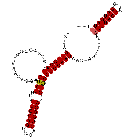 secondary structure