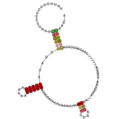 secondary structure