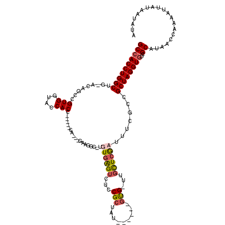 secondary structure
