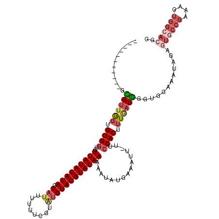 secondary structure