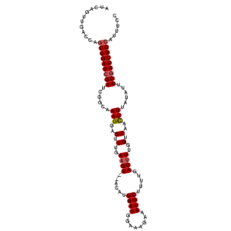 secondary structure