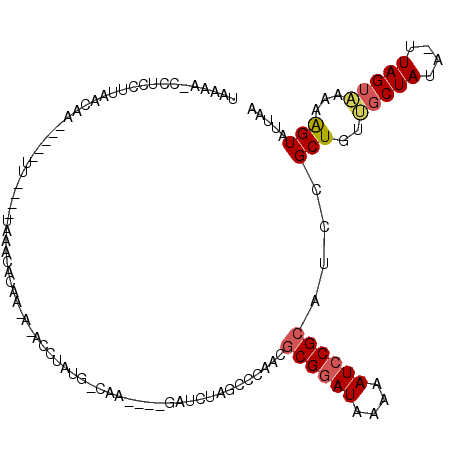 secondary structure