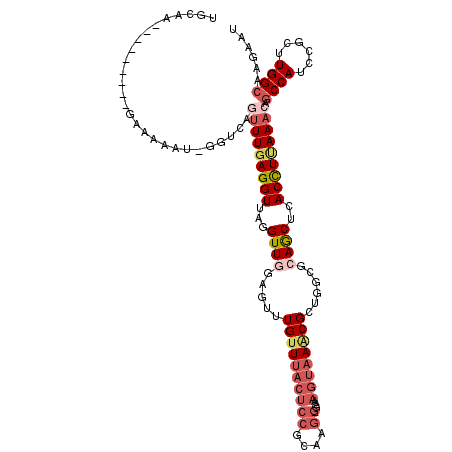 secondary structure