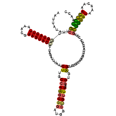 secondary structure