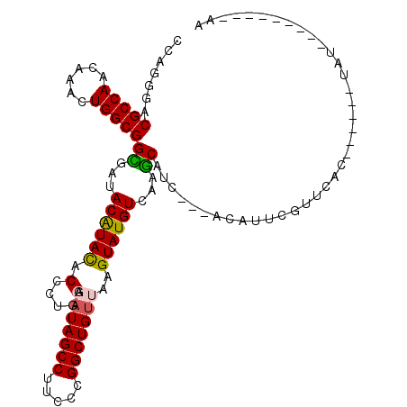 secondary structure