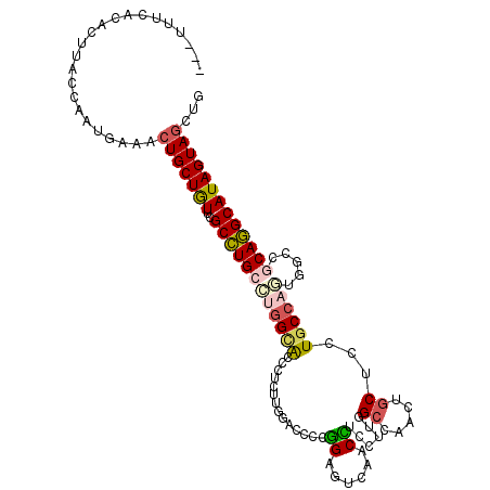 secondary structure