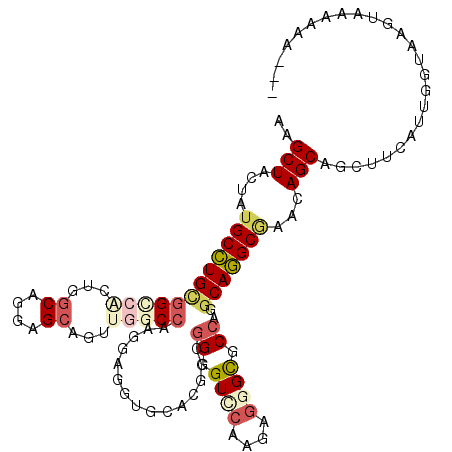 secondary structure