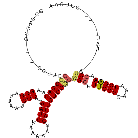 secondary structure
