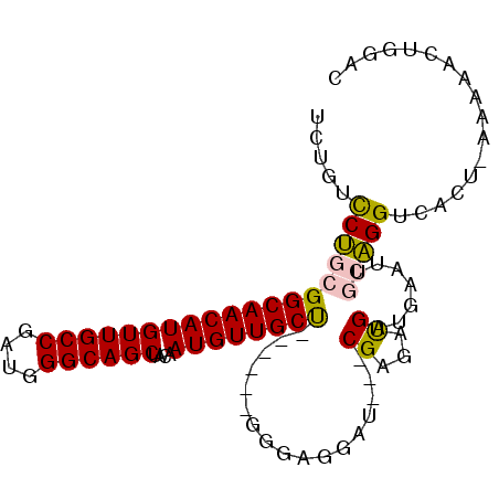 secondary structure