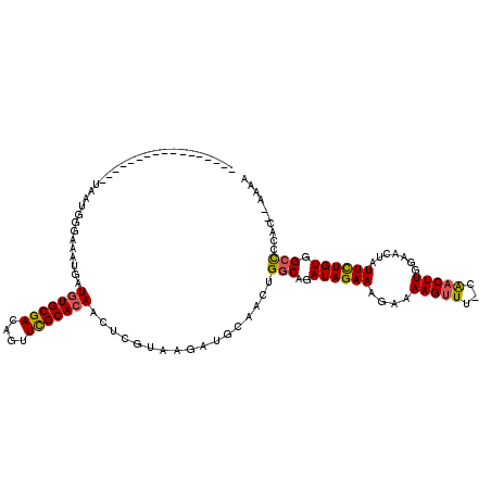 secondary structure
