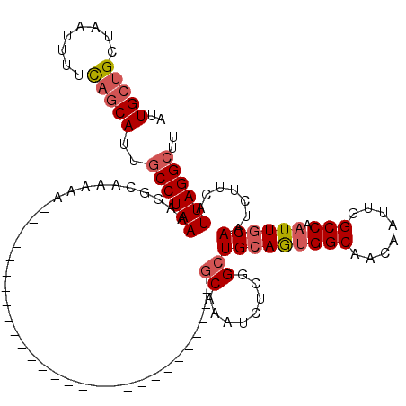 secondary structure