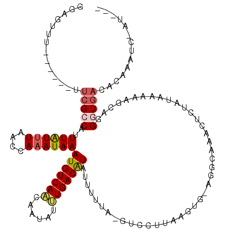 secondary structure