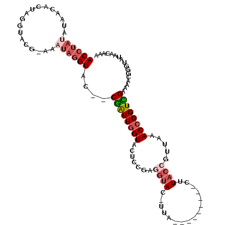 secondary structure
