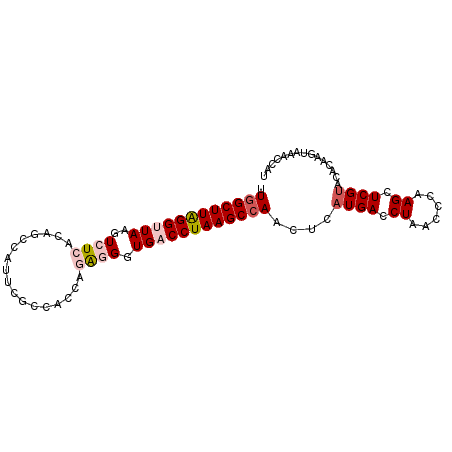secondary structure
