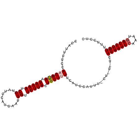 secondary structure