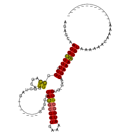 secondary structure