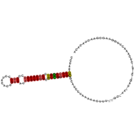 secondary structure