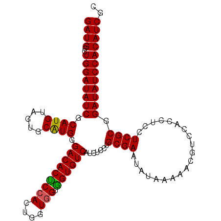 secondary structure