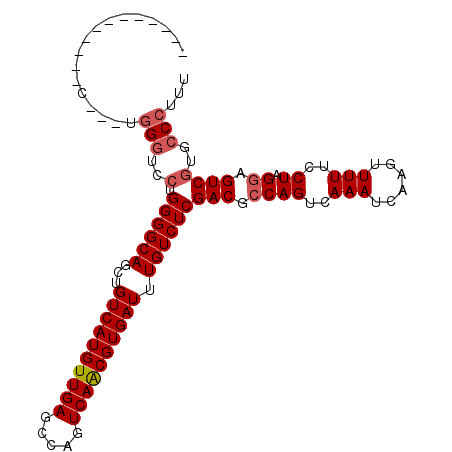 secondary structure
