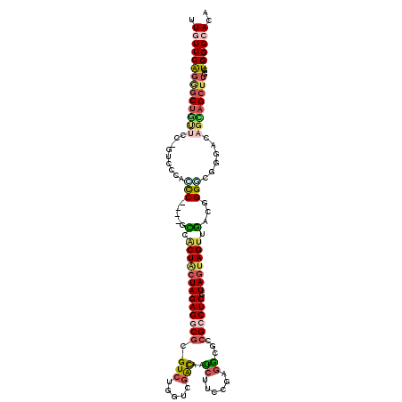 secondary structure
