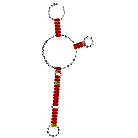 secondary structure