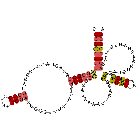 secondary structure