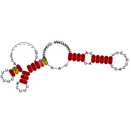 secondary structure