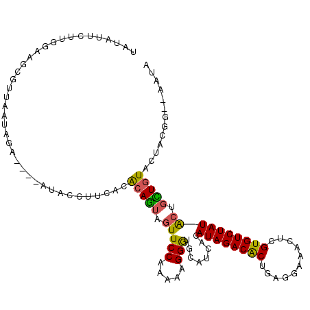 secondary structure