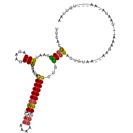 secondary structure