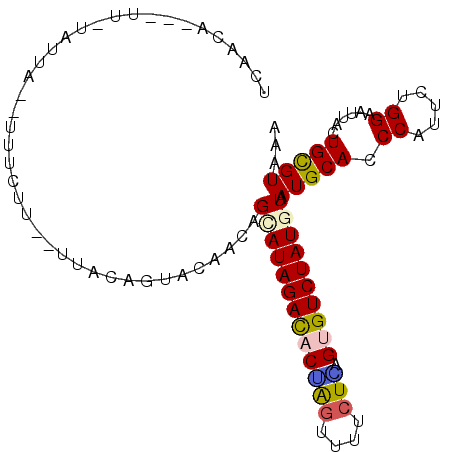 secondary structure