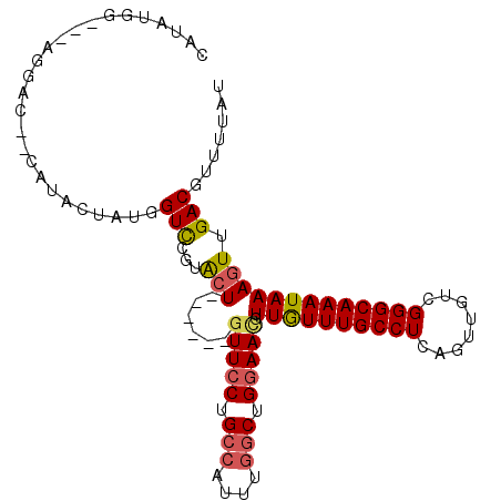 secondary structure