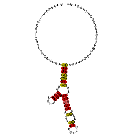 secondary structure