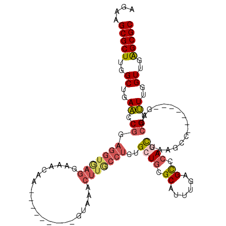 secondary structure