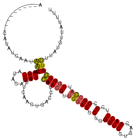 secondary structure