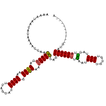secondary structure
