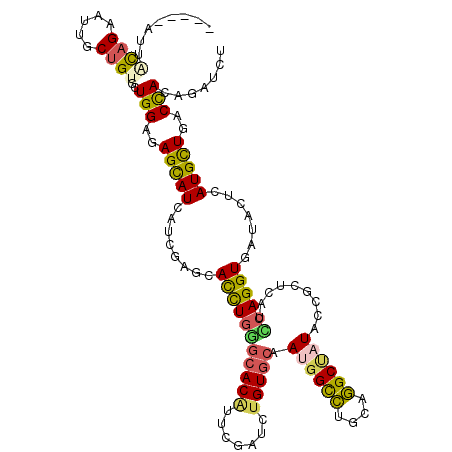 secondary structure
