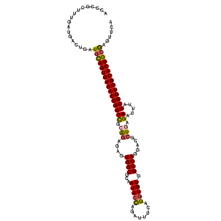 secondary structure