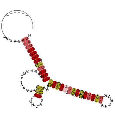secondary structure