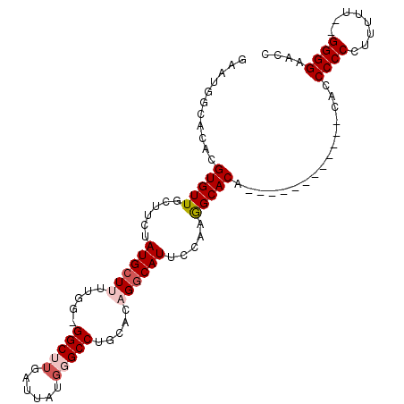 secondary structure