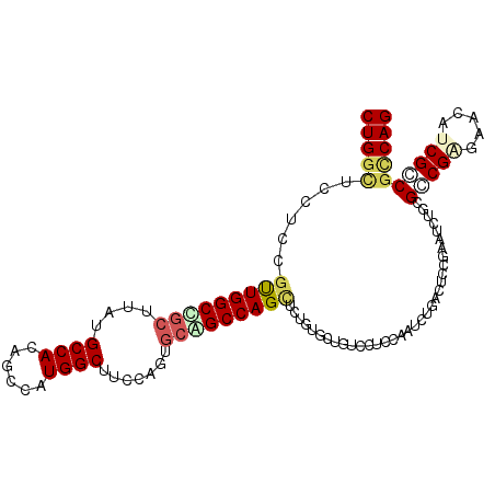 secondary structure