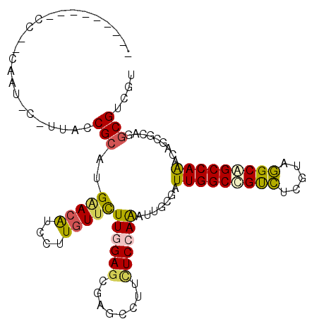 secondary structure