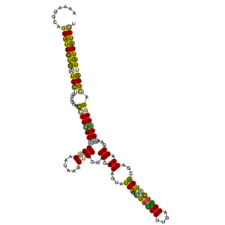 secondary structure