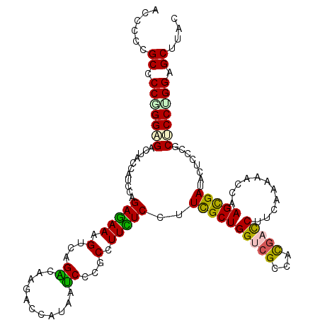 secondary structure