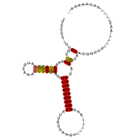 secondary structure