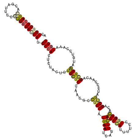 secondary structure
