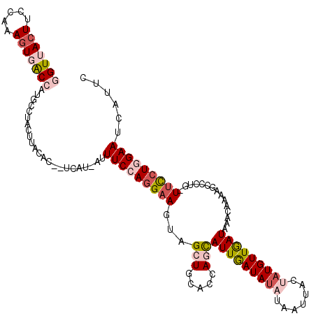 secondary structure