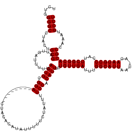secondary structure