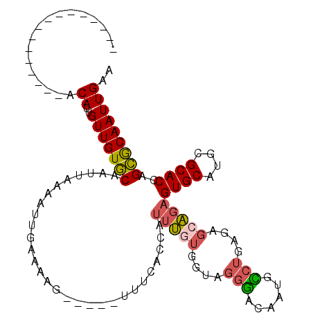 secondary structure