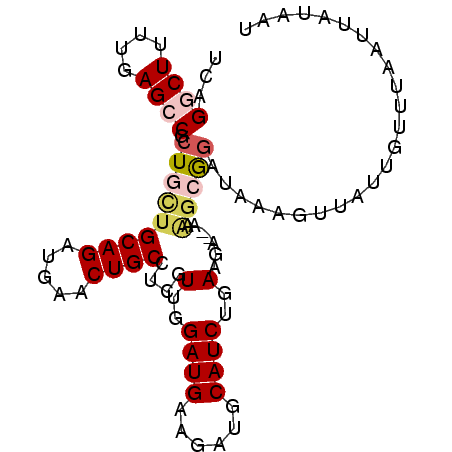 secondary structure